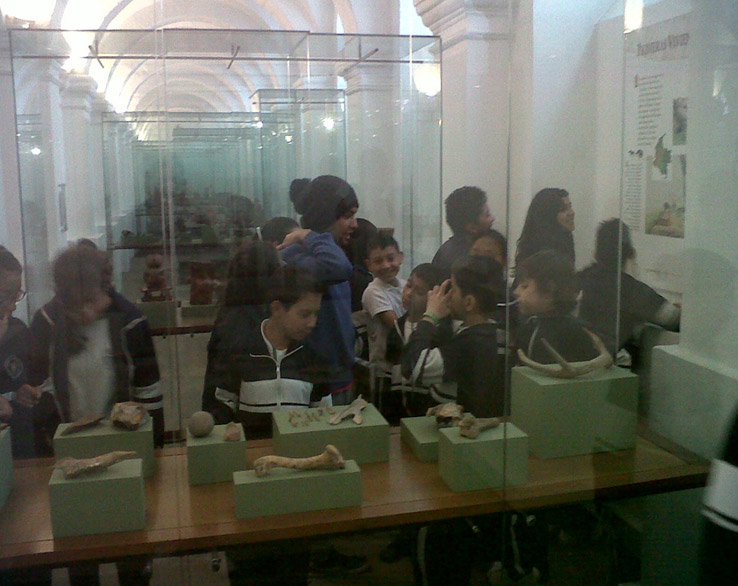 Figura 4. Proyecto Aprendizajes Productivos a Través de la Comprensión Etnocultural, visita pedagógica Museo Nacional