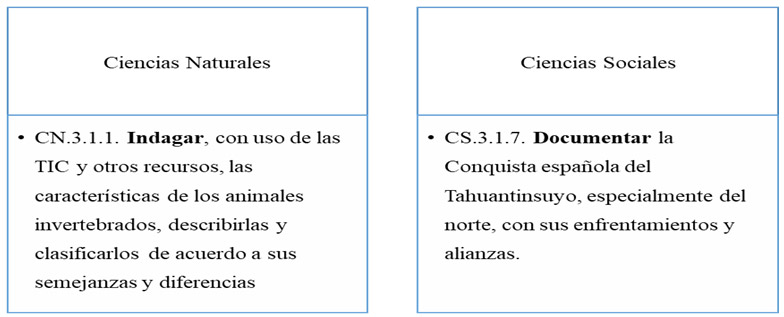Figura 3. Competencia digital